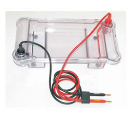 peiqing JS-he128 Electrophoresis tank